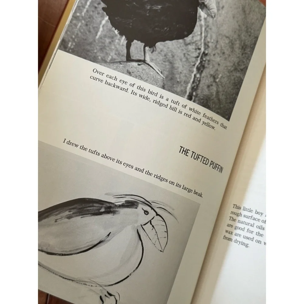 Animals in Wood Shay‎ Rieger 1971 HC Wood Carving Sculpture Wildlife Art Book